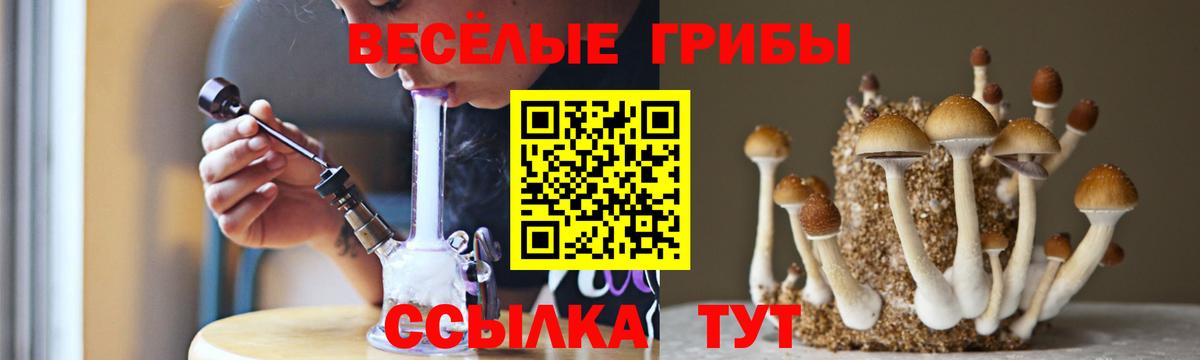 цены   Псилоцибиновые грибы ЛСД  Вход с VPN  Карасук 